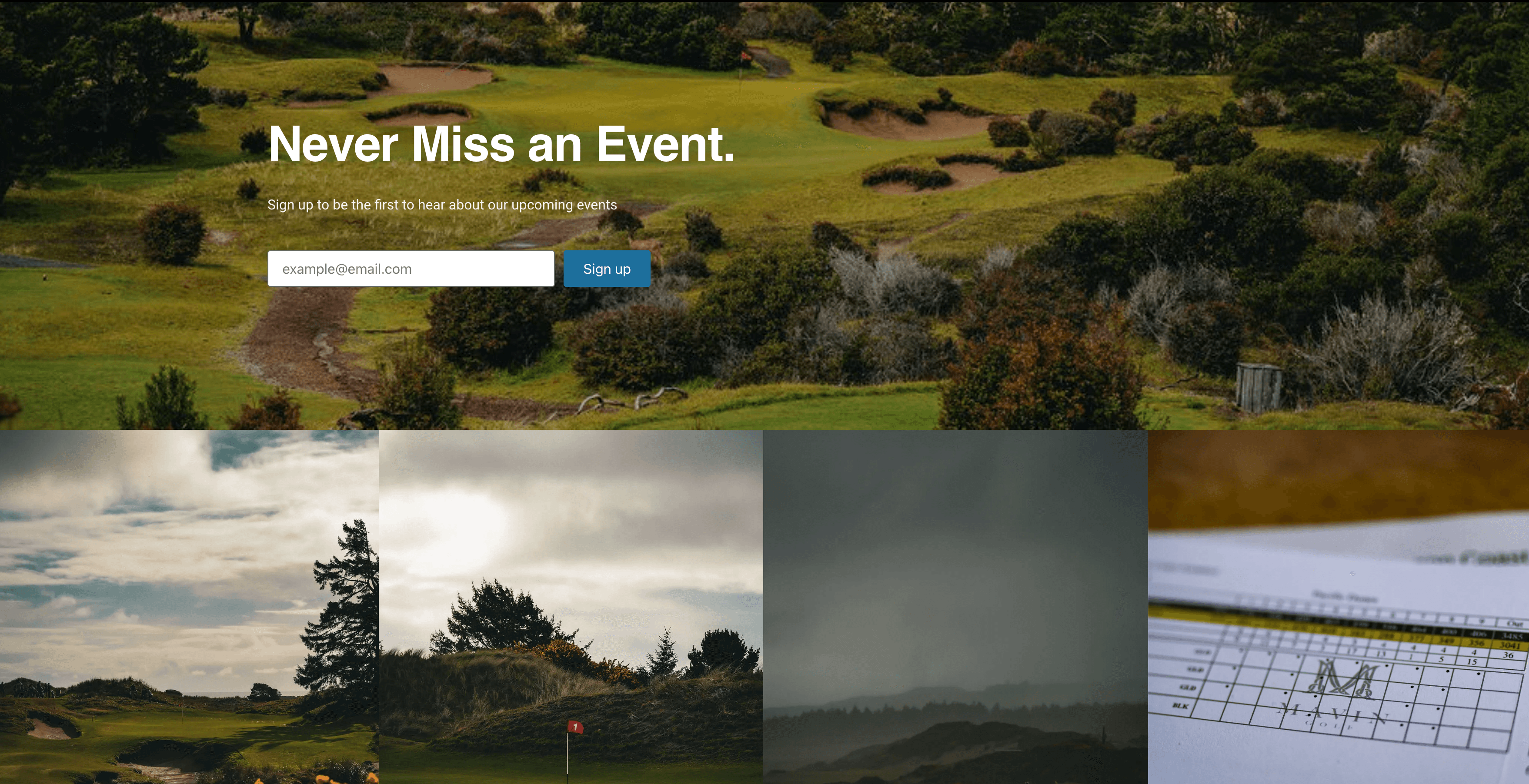 Mavin Golf - imagem 3
